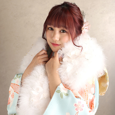 成人式振袖お持込みプランC